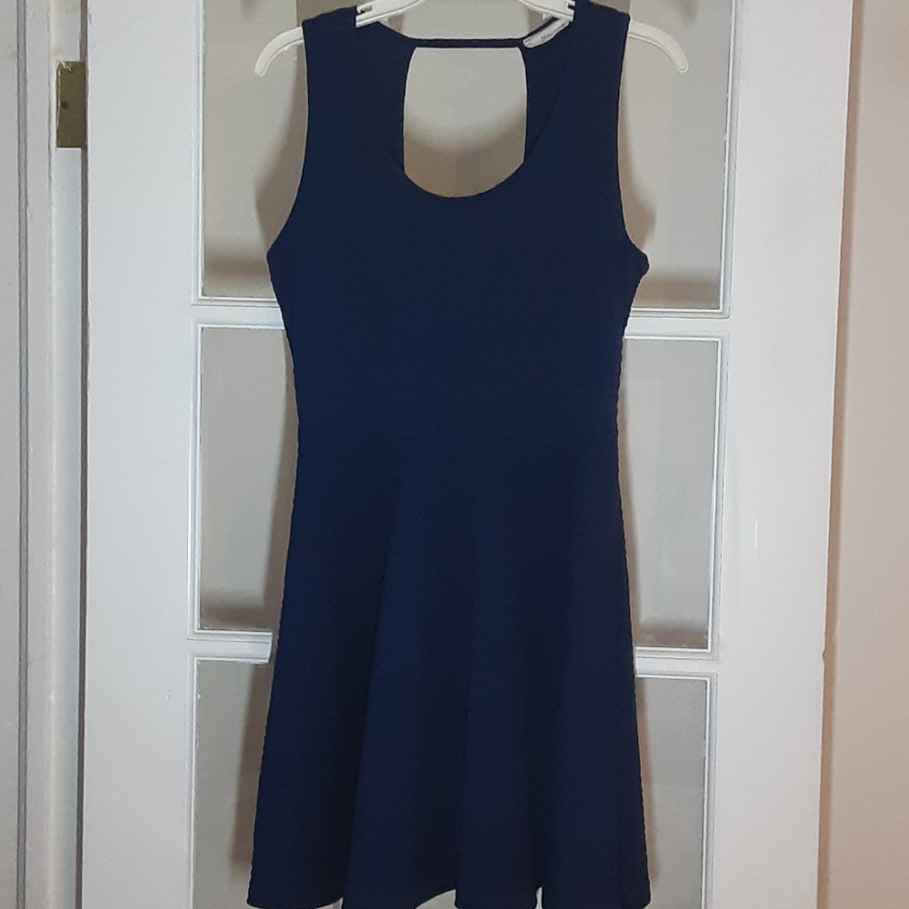 Plus Size Skater Dress
